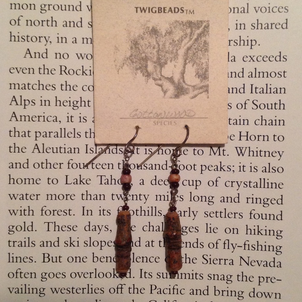 Rare Handmade Cottonwood Earrings From Twigbeads